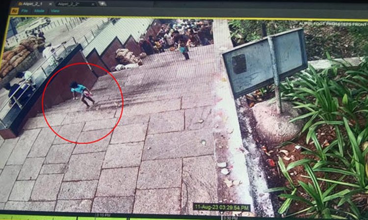 అలిపిరి నడక మార్గంలో చిన్నారిపై చిరుత దాడి